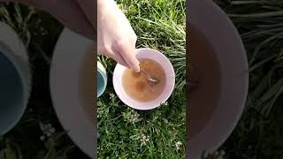 CHEMIE | Čištění měděných mincí